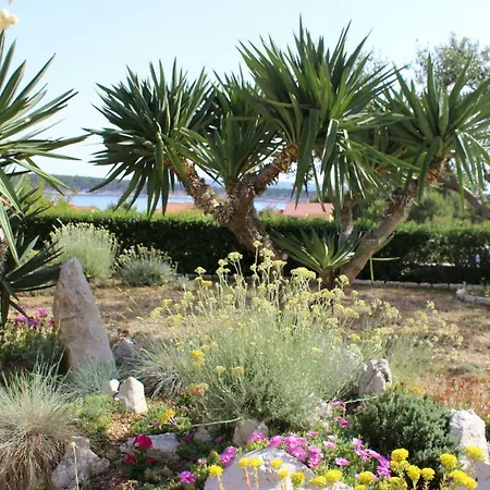 Apartment Culjak Rab *